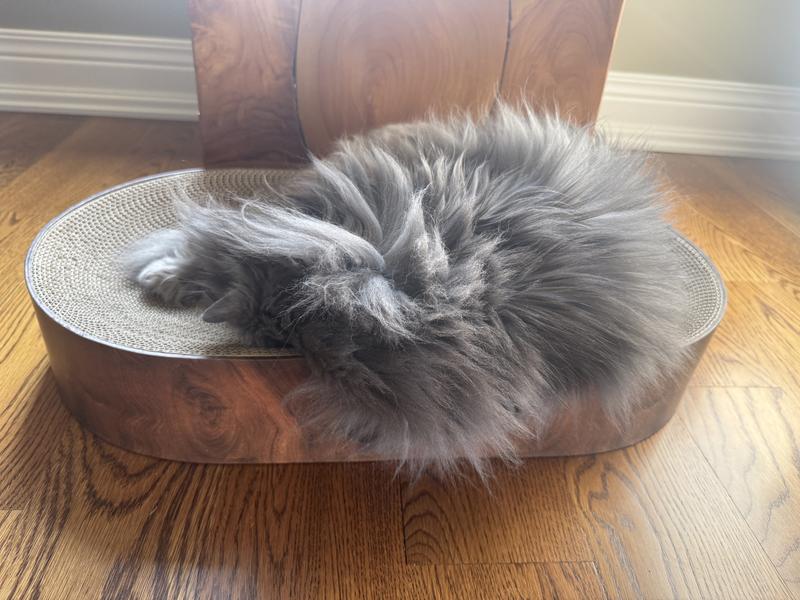 猫雑炊 NECOICHI Cozy Bowl Capsule Cat Scratcher Toy, Dark Cherry - Chewy.com