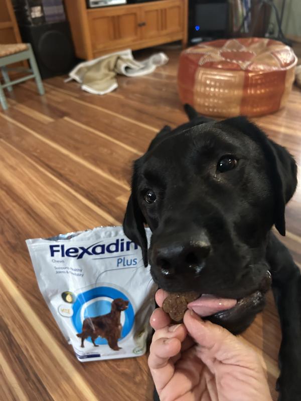 I finally get to eat it!