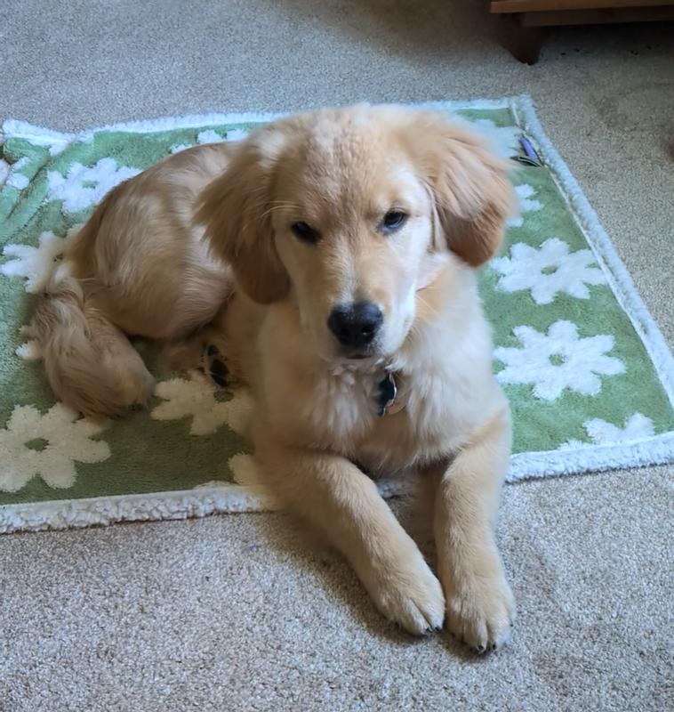 My little girl sitting on her favorite blanket!