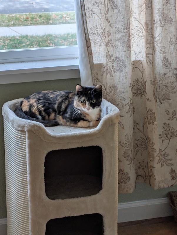 Crickets favorite spot