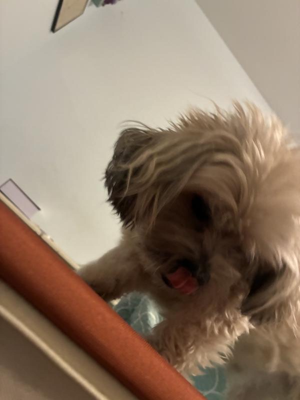 He’s a scruffy old man.