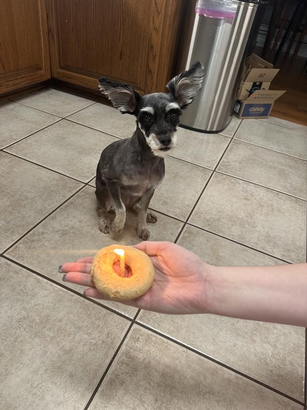 Birthday “cake” (candle not included with purchase)