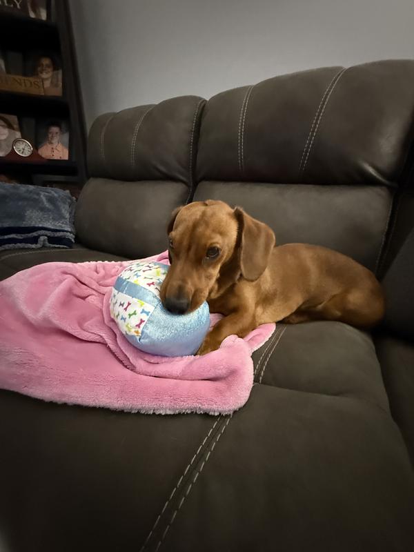 He likes his stuffed toys