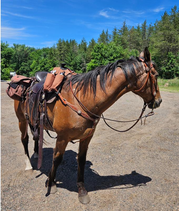 Chance after our trail ride