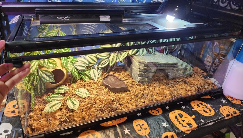 The drop down front is a game changer!