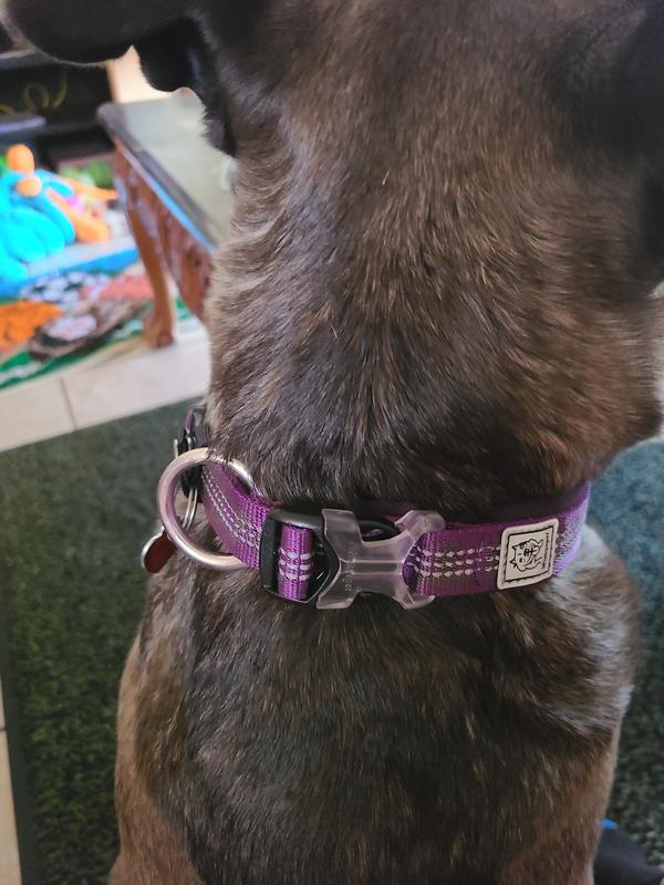 Sturdy, secure, stylish fit