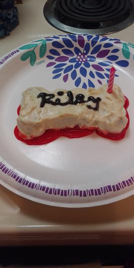 Riley Lyn's 5th Birthday Dec. 10, 2021