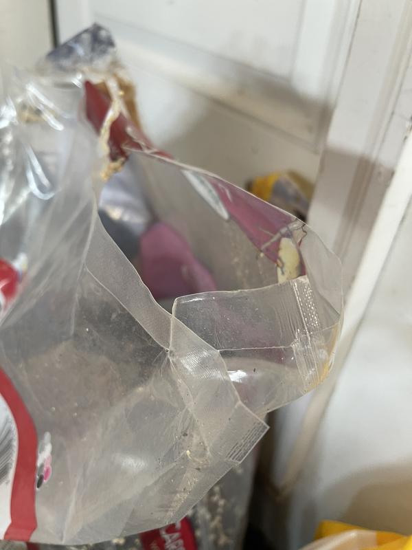 Damaged bag that was loaded into the box.