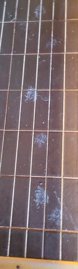 these pawprints are 10' from the litter box.