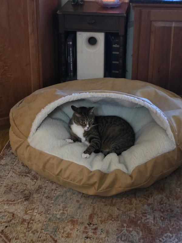 Gus took over the dog bed as soon as I put it out lol!