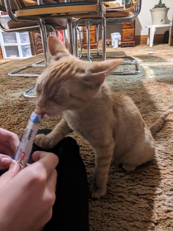 INABA Churu Purees Kitten Tuna Recipe Lickable Cat Treats, 0.5-oz tube