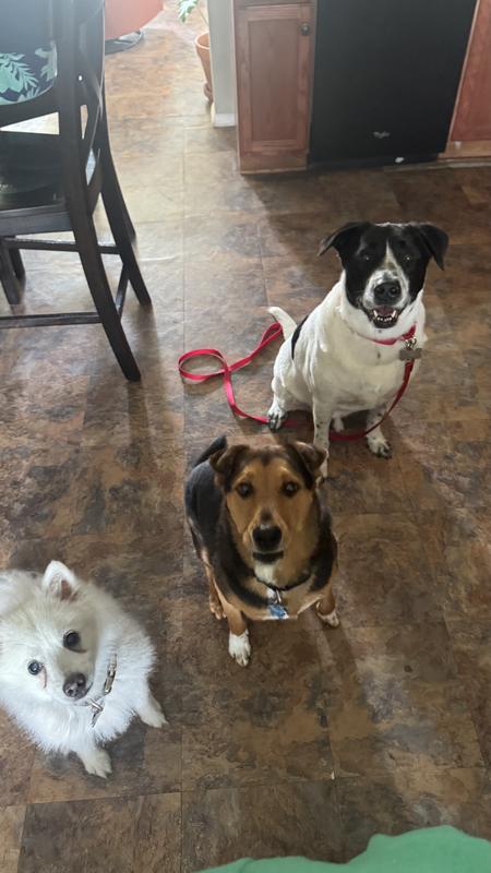 Yes please! Give us one of those yummy treats!