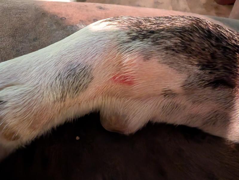 Spot before treatment