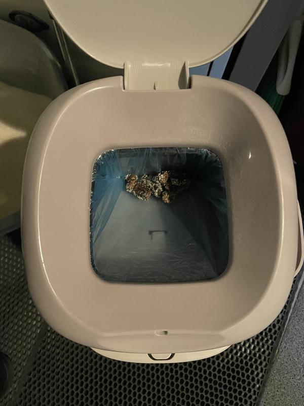 Size of poop once disposed of in the little genie