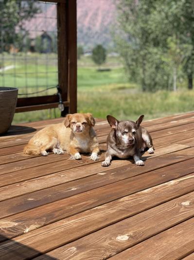 The Boys- Chachi on left and Beary on right