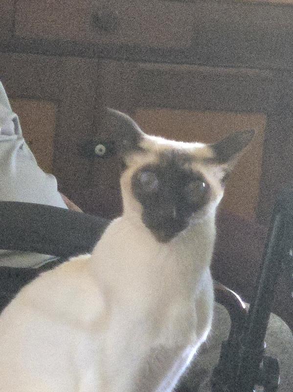 Thanks for changing my diet.