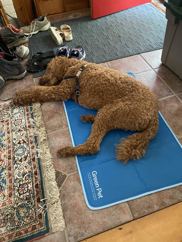 Chewy cooling outlet mat