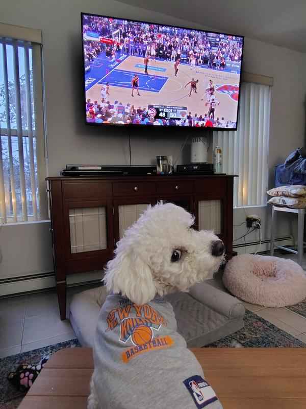PETS FIRST NBA New York Knicks Dog & Cat Tee Shirt, Large - Chewy.com