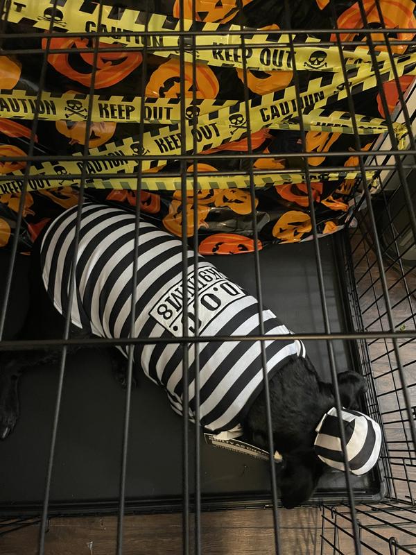 a better photo showing how tight the costume was around the neck and shoulders.