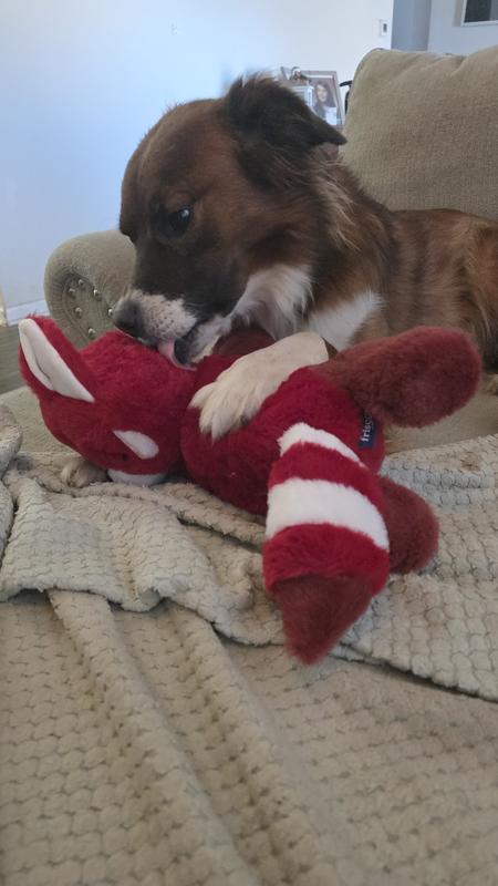 Soft toy, serious commitment