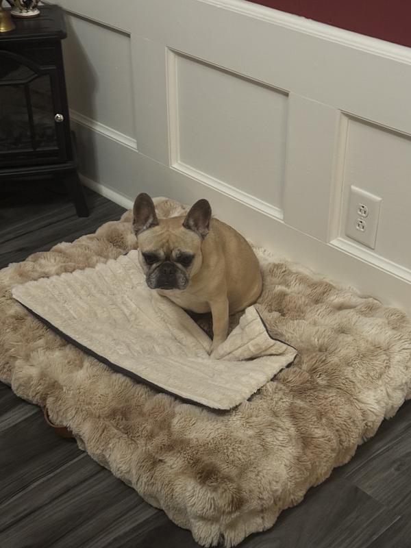 First picture is day one of unpacking out of box and day two on how “thick” it was after sitting 24 hrs. I decided to put it on her dog bed for extra comfort. She loves any kind of new beds/ blankets