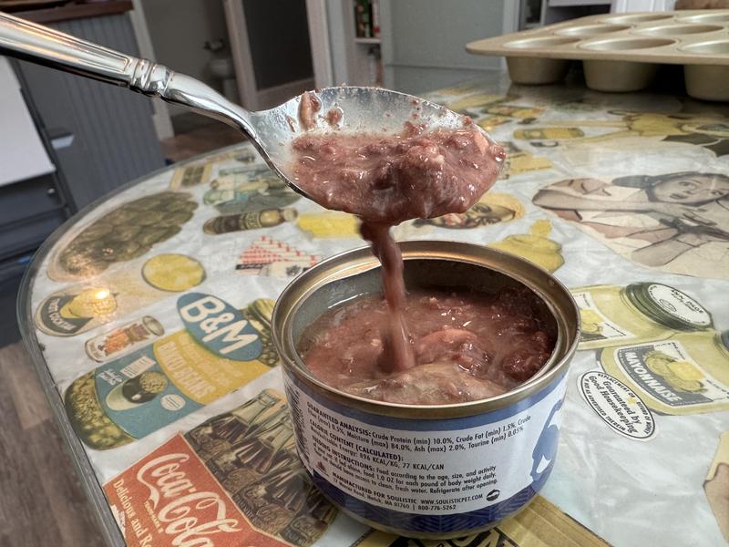 Gravy- forward very moist food