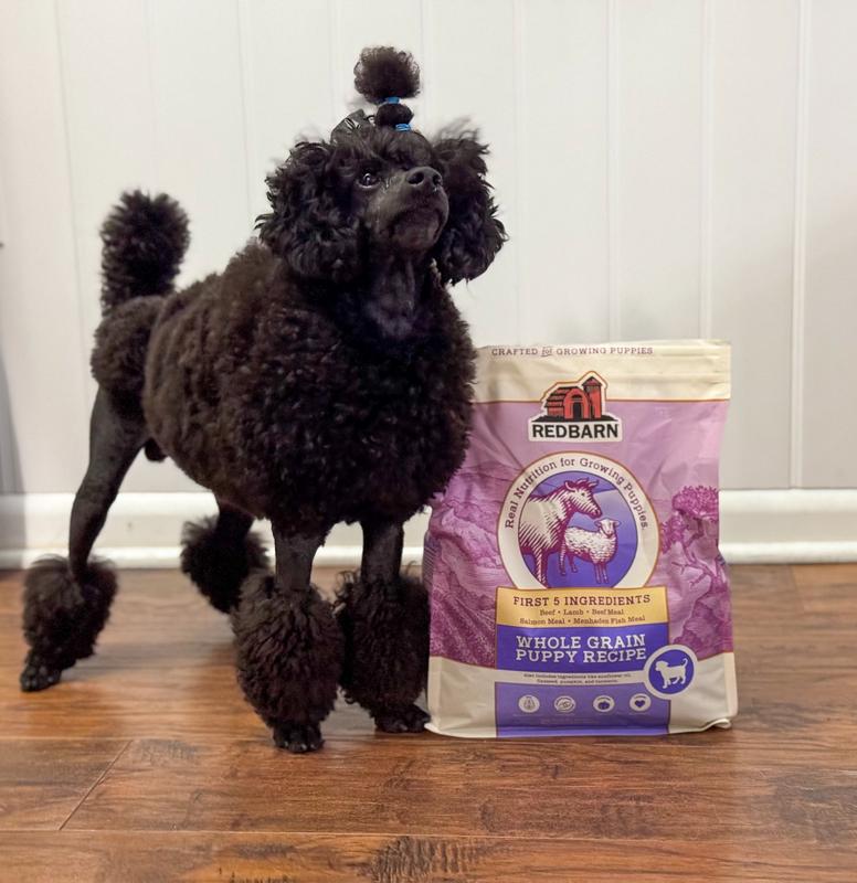 Arthur with his food