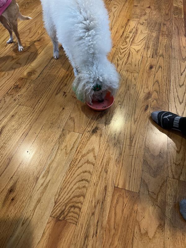 He ate it right away !