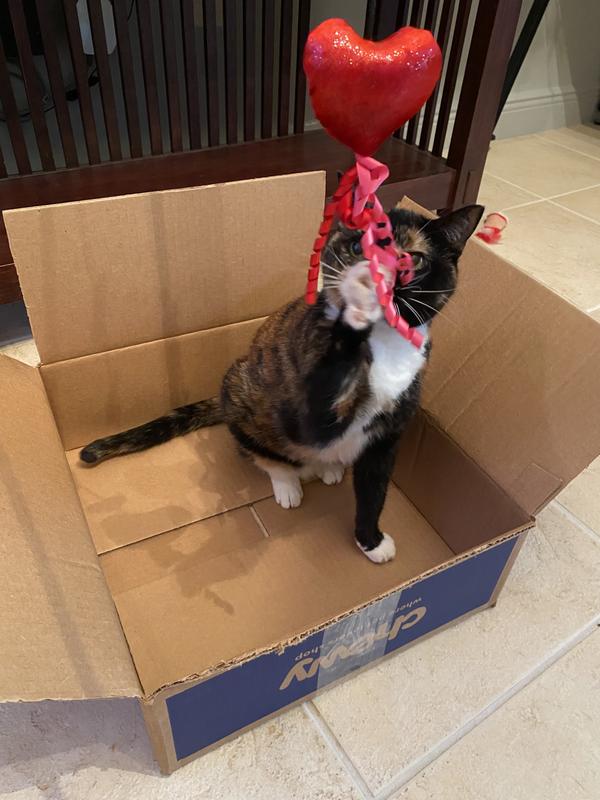 Big hit with Nutmeg!