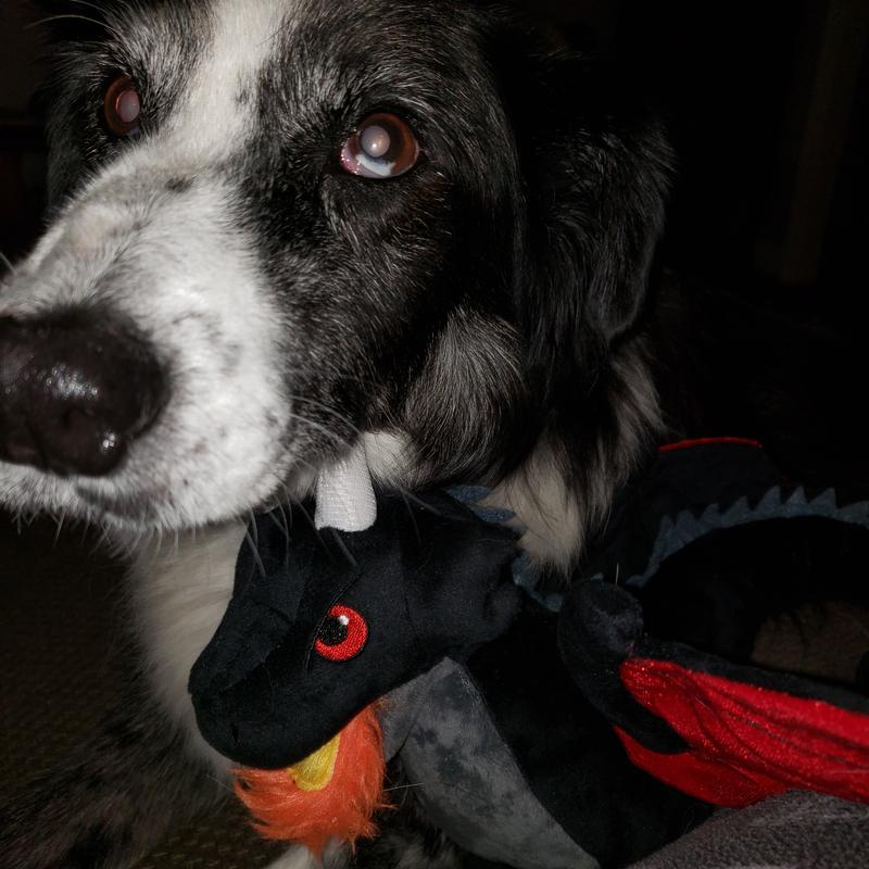 Ranger and his dragon.