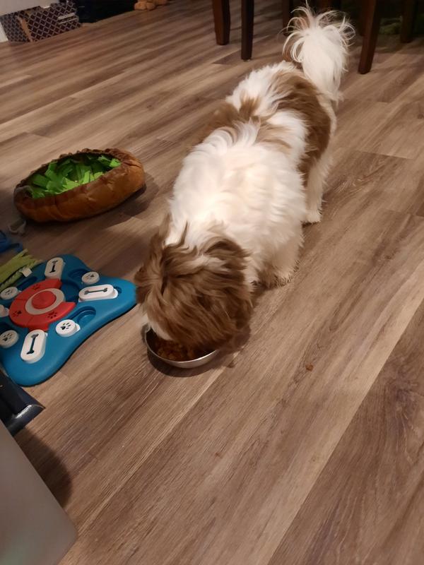 Wrigley is chowing down!