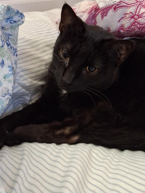 Keeping mommy's spot warm. Well a little spot warm anyway.