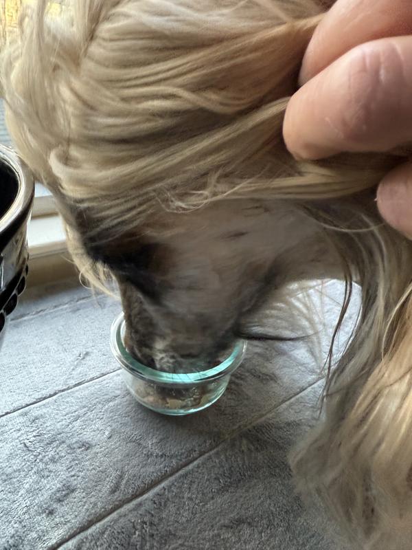 Can’t even wait for us yo get his hair out of the way