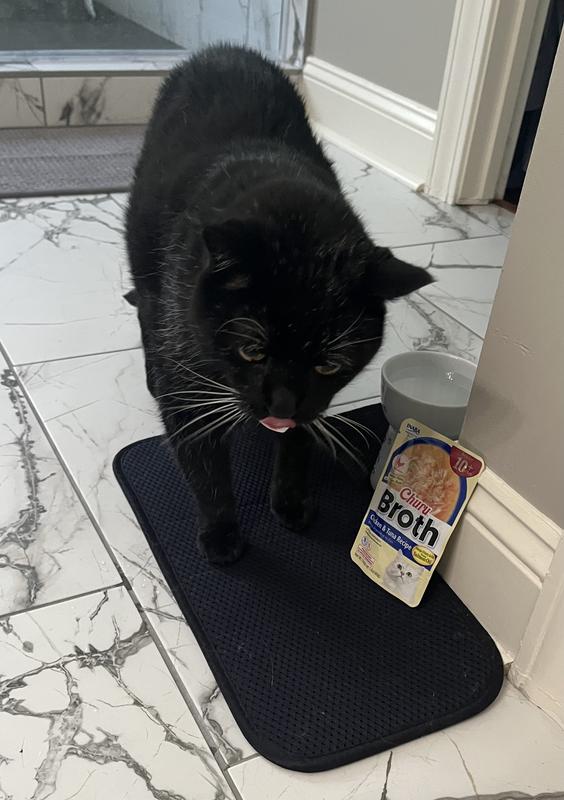 He’s ready for a treat!