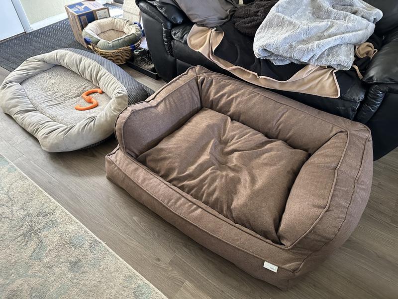 3 beds for scale (smallest is a cat bed)