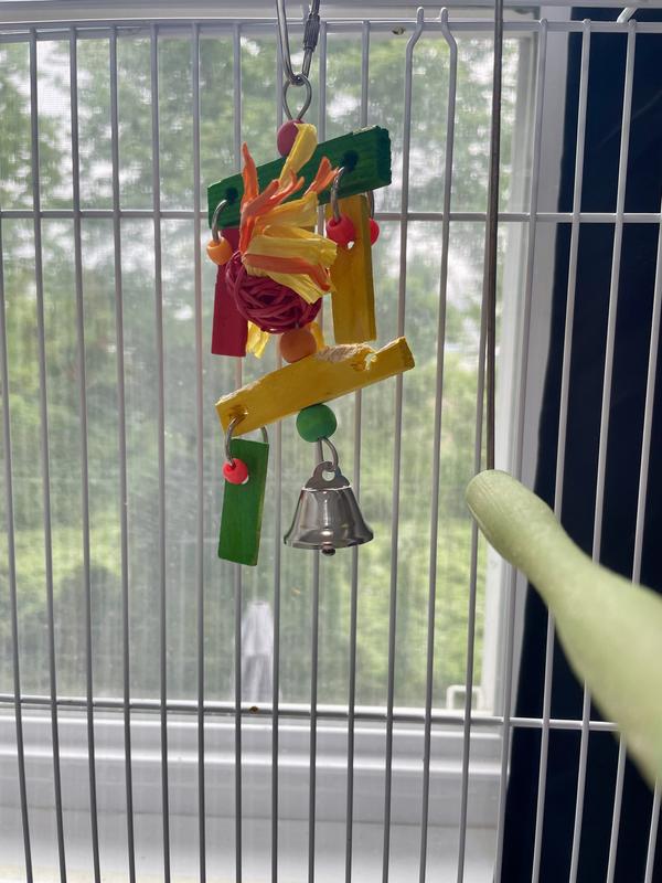 She’s already torn some off…lol