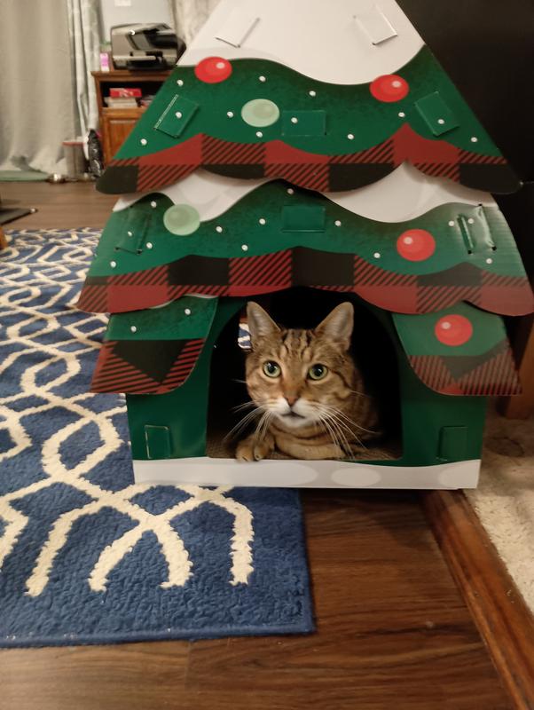 Rory isn't trying to destroy THIS Christmas tree!