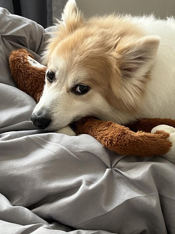 Him actually being nice to a toy for once.