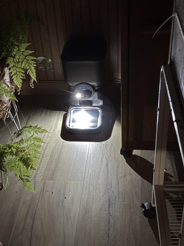 It also has a night light when motion is detected and different settings for sensitivity.