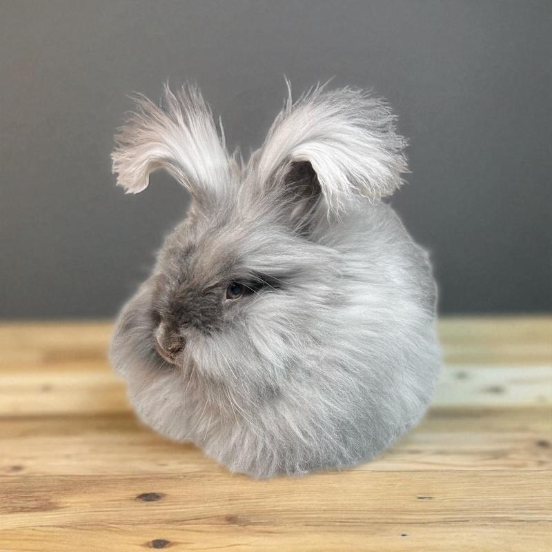 Perfect for face and feet.