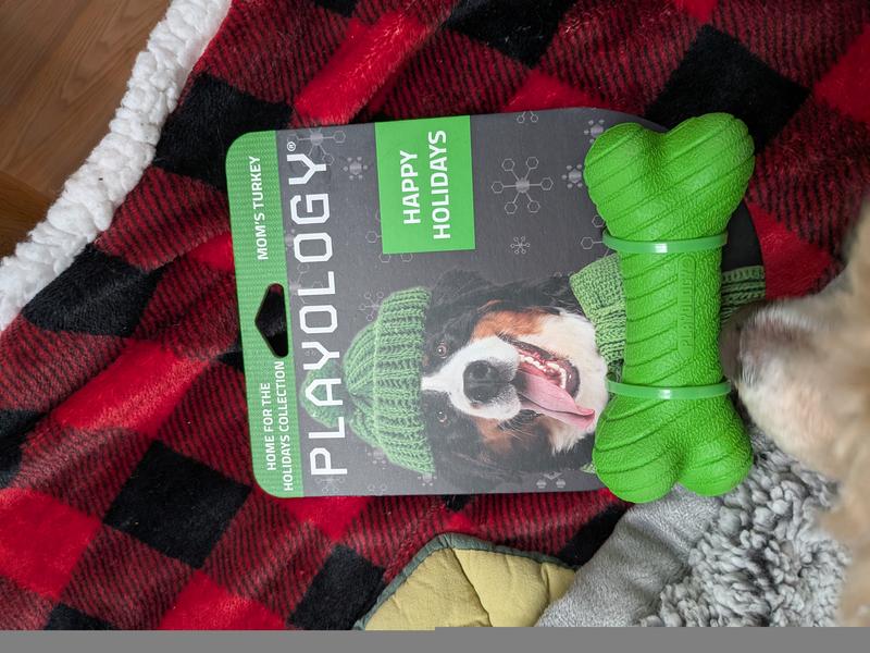 My dog was pretty interested