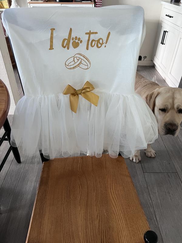 I wish it was modeled by one of my dogs.