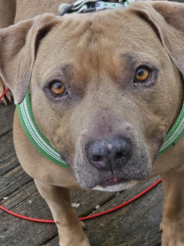 I'm such a good boy.