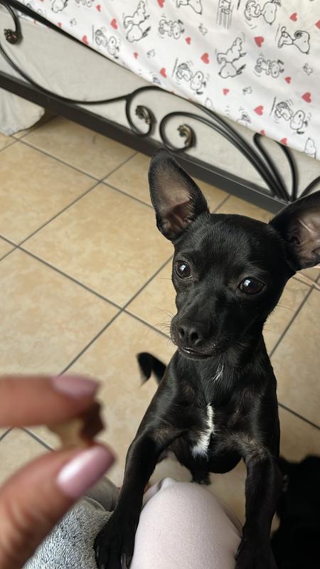 They smell it as soon as the bag is open!