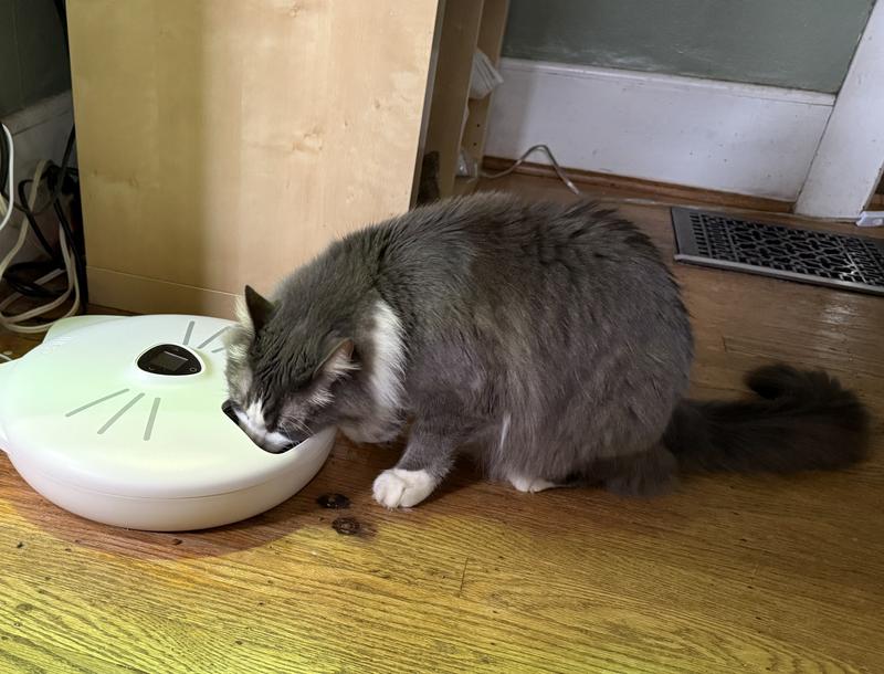 Zeke and Orion dig in