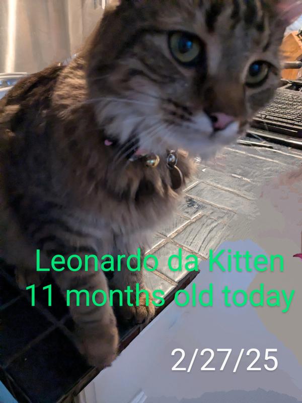 Leo was very excited and had trouble sitting still for a picture!