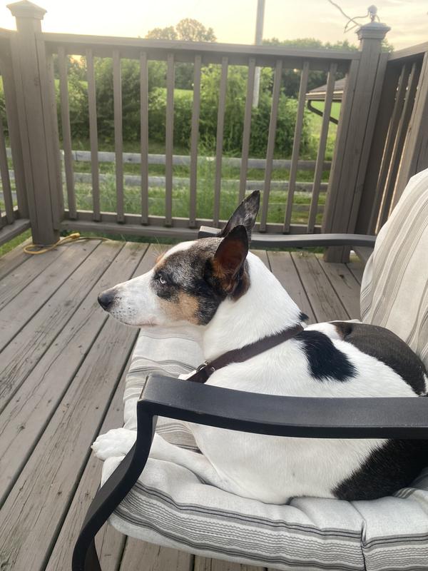 After dinner lounging