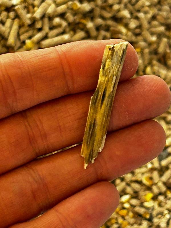 Piece of wood in feed