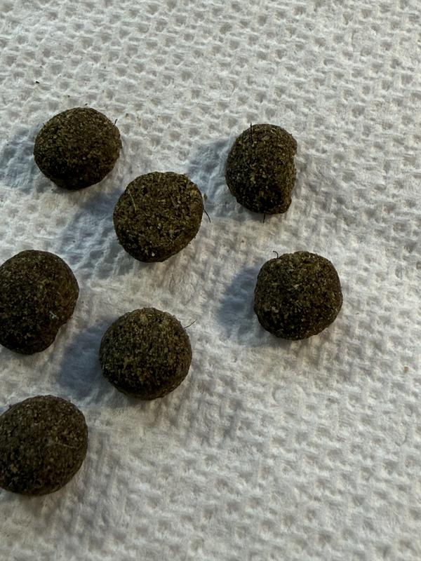 Hair embedded in kibble