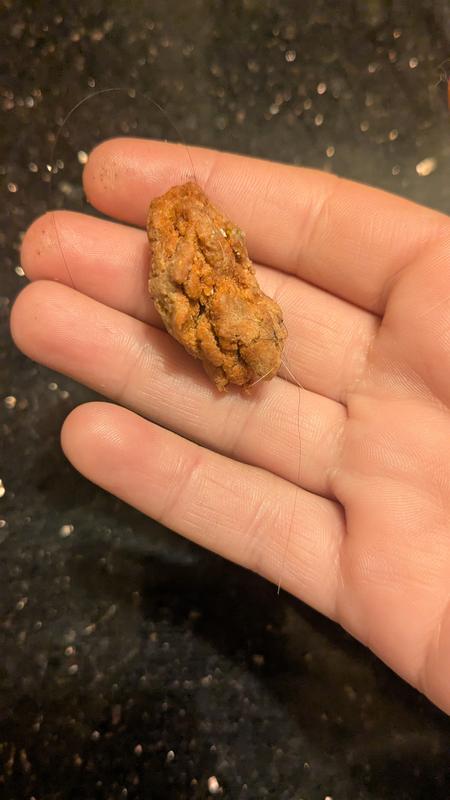 Hard large chunk of cat food.